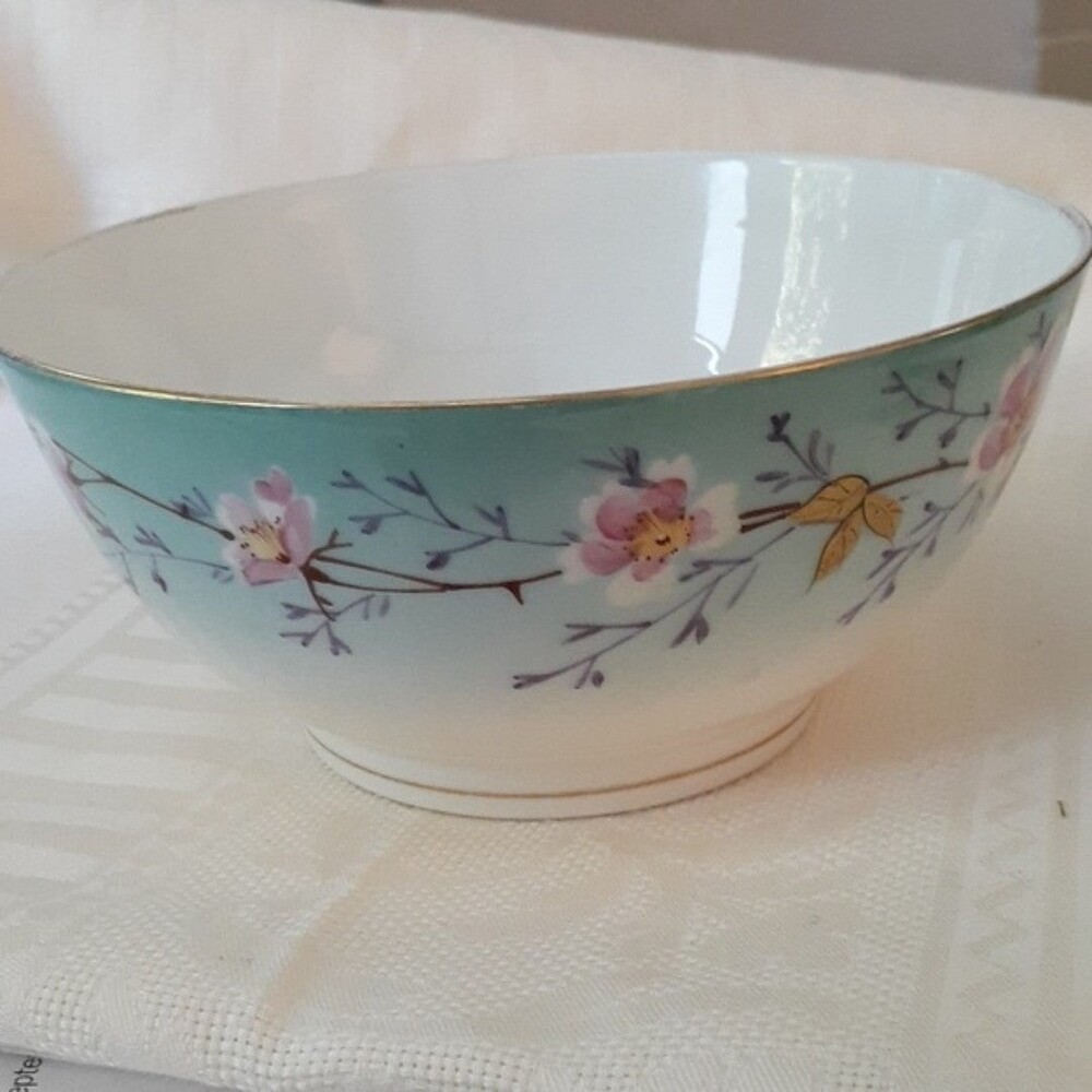D&C Limoges Antique Bowl Cherry Blossom Hand Painted Porcelain Delinieres & Cie